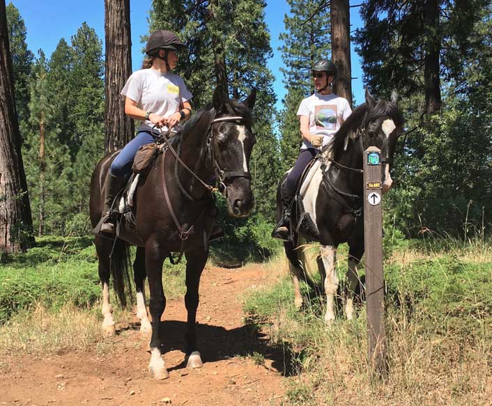 Horseback riders beside a marked forest path on the Arnold Rim Trail
