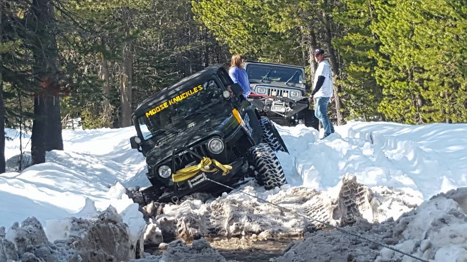 Jeeps navigating a snowy Sierra trail with Joaquin Jeepers