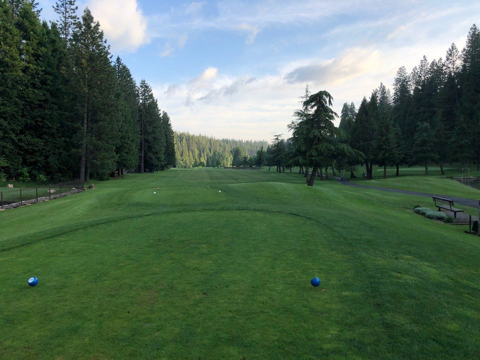 A forest-lined fairway at Sequoia Woods Country Club