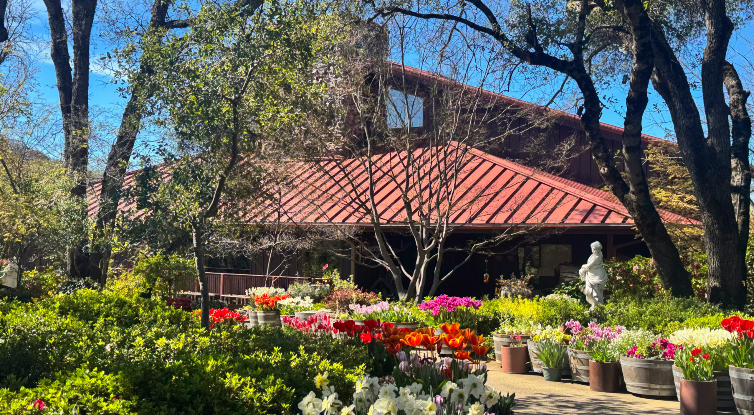 The landscaped gardens at Ironstone Vineyards
