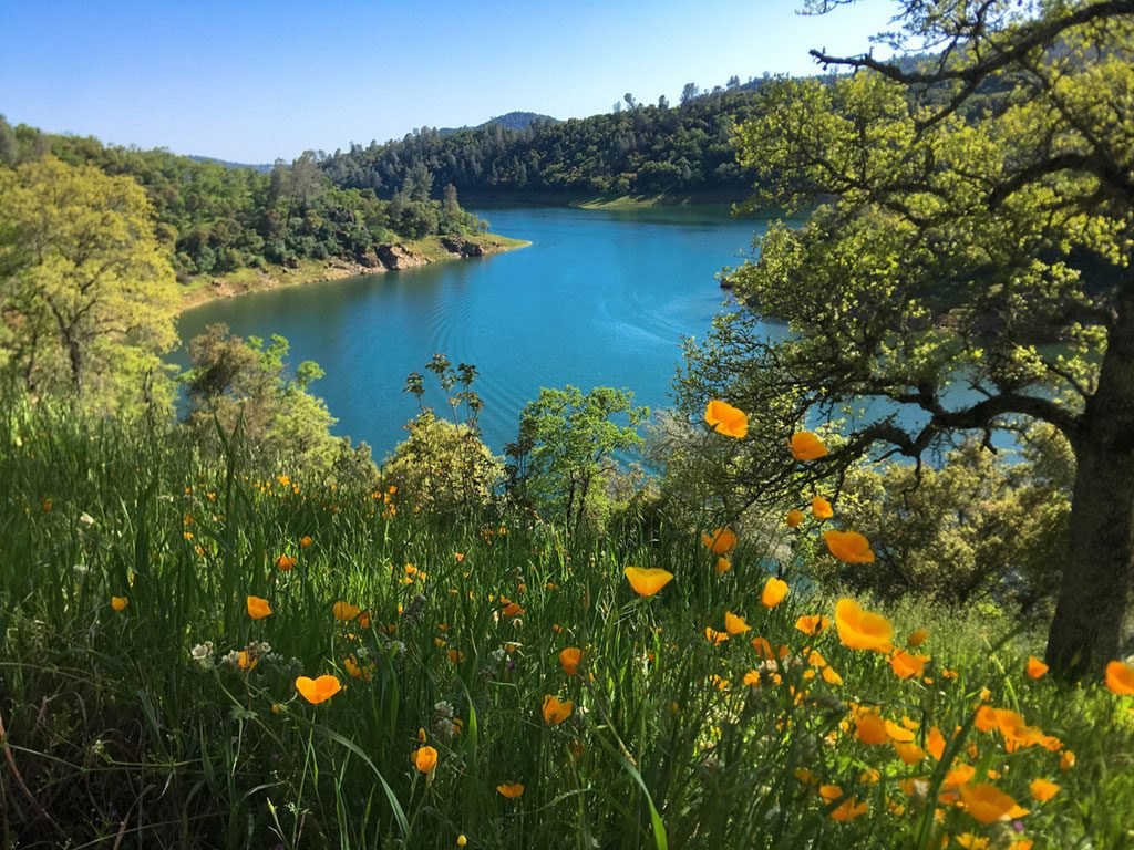 New Melones Lake in the Sierra Nevada