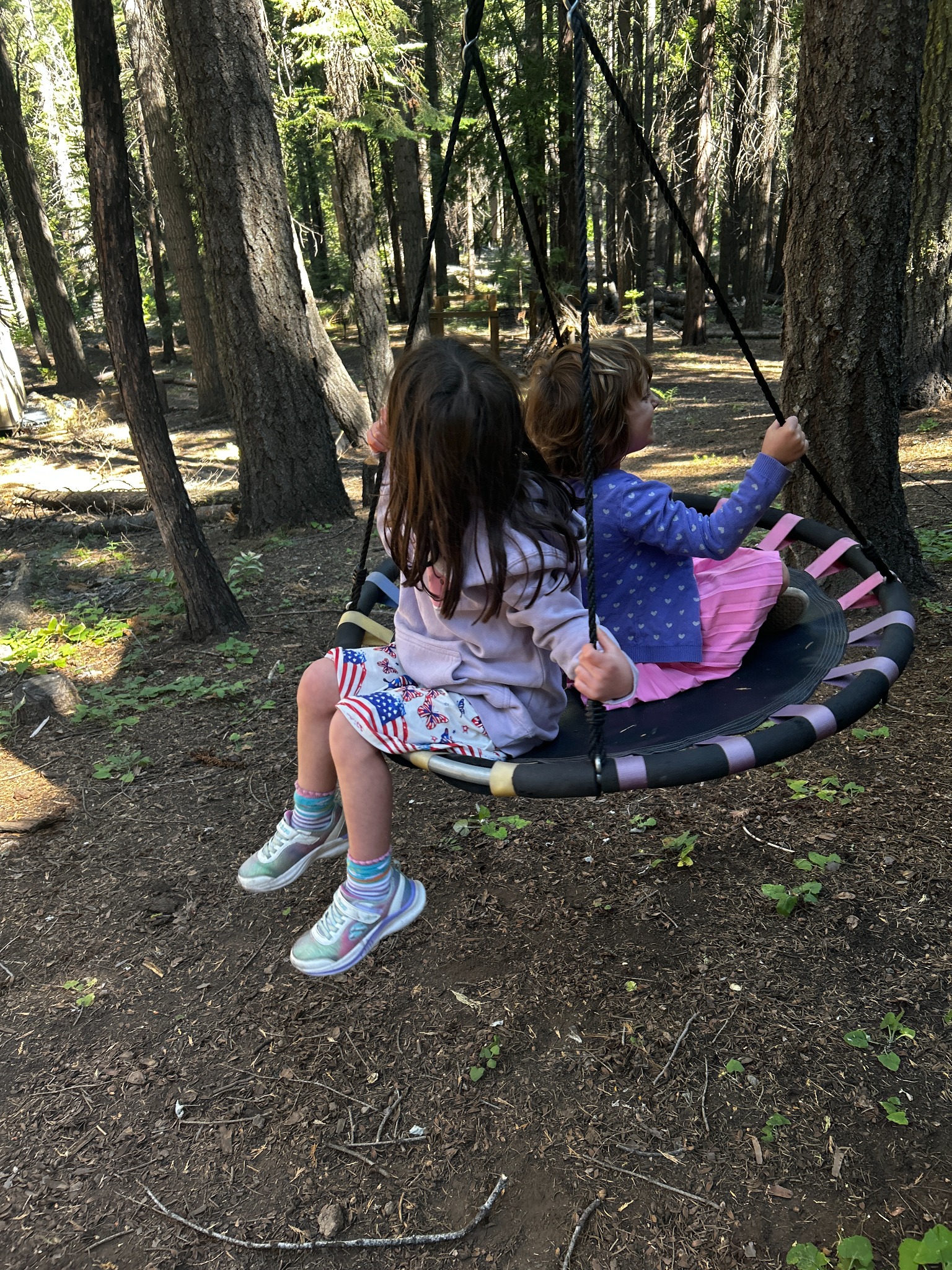 2 acres of private forest solitude for kids of all ages.