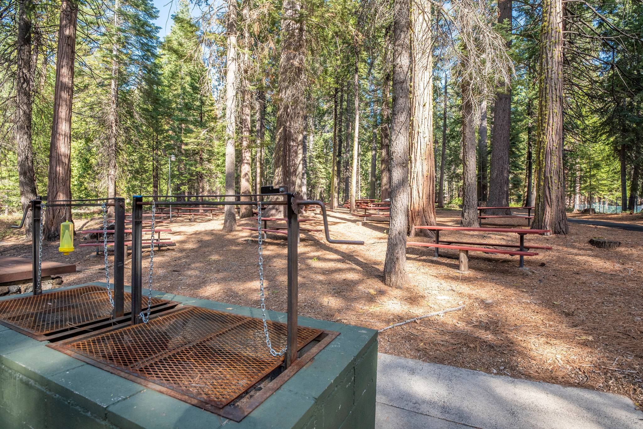 Barbecue grills and picnic tables among the trees at Big Trees Village Recreation Center