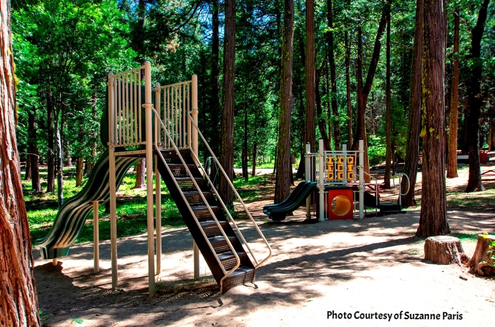 Slides and climbing equipment beneath pine trees at Big Trees Village Recreation Center