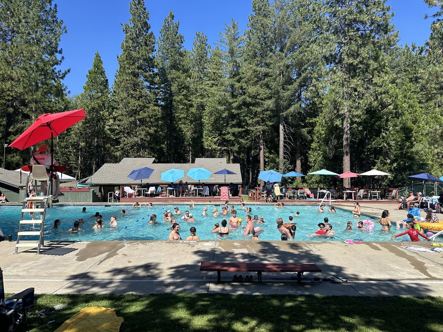 Families swimming in the tree-lined pool at Big Trees Village Recreation Center