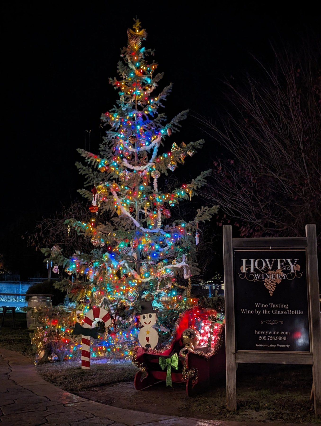 Murphys community Christmas tree at night